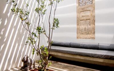 The Body Knows Long Before the Mind Arrives