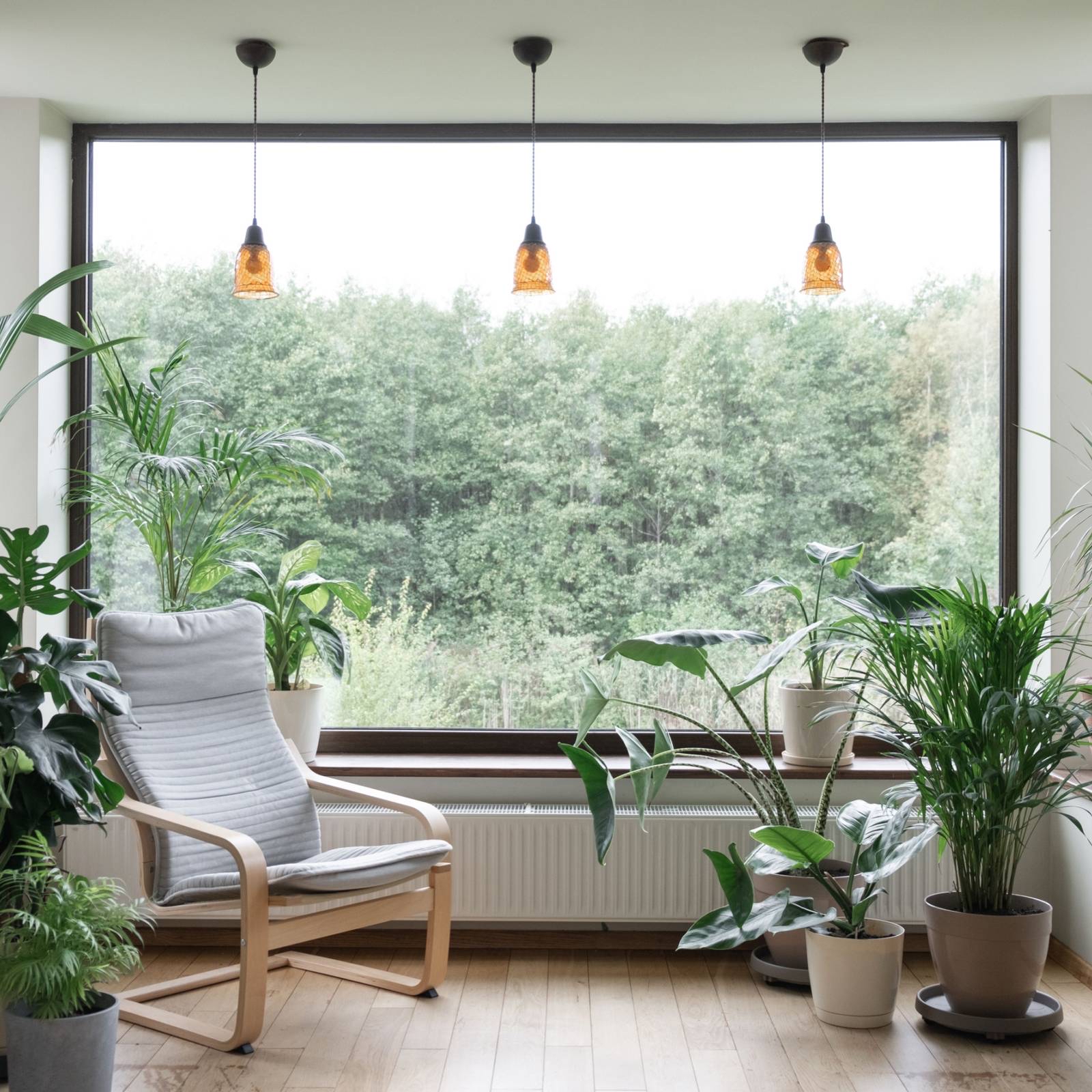 Quiet indoor space with a chair and potted plants facing a large window overlooking greenery, lit by soft natural daylight.