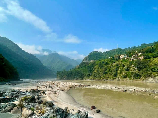 A slow-moving river along a quiet bank in early morning light, with still water and soft reflections.