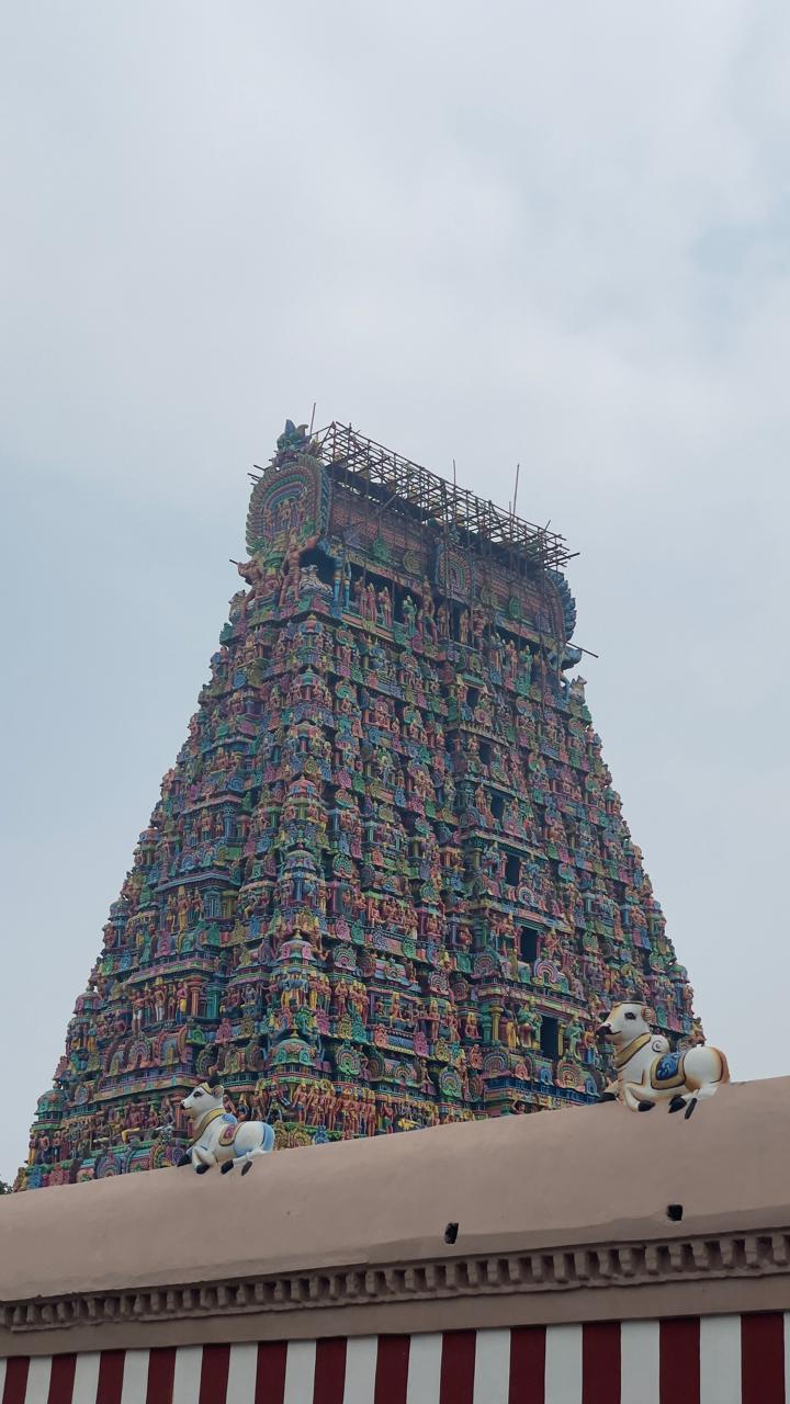 South Indian temple gopuram rising above surrounding buildings against the open sky.